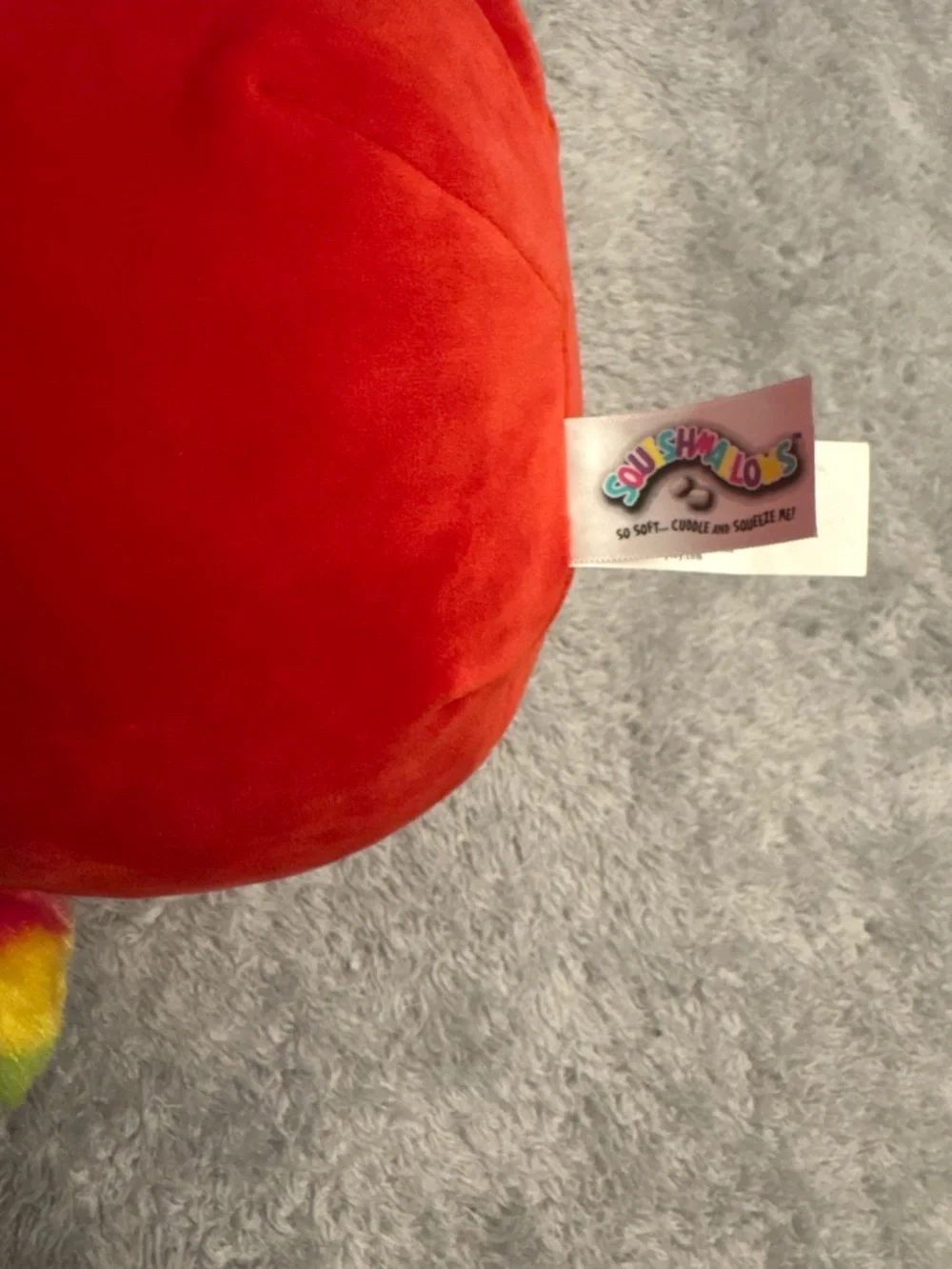 Squishmallows Paco The Parrot